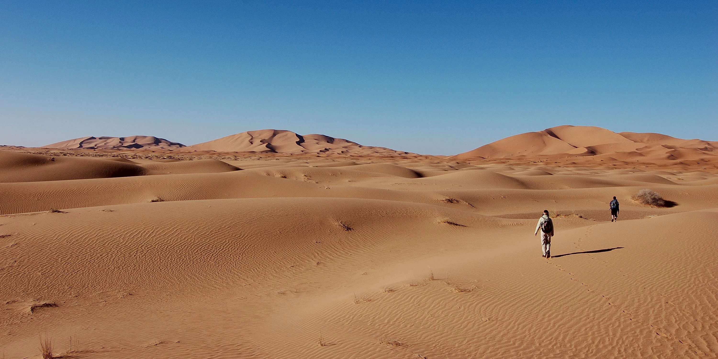 Delle persone nel deserto.